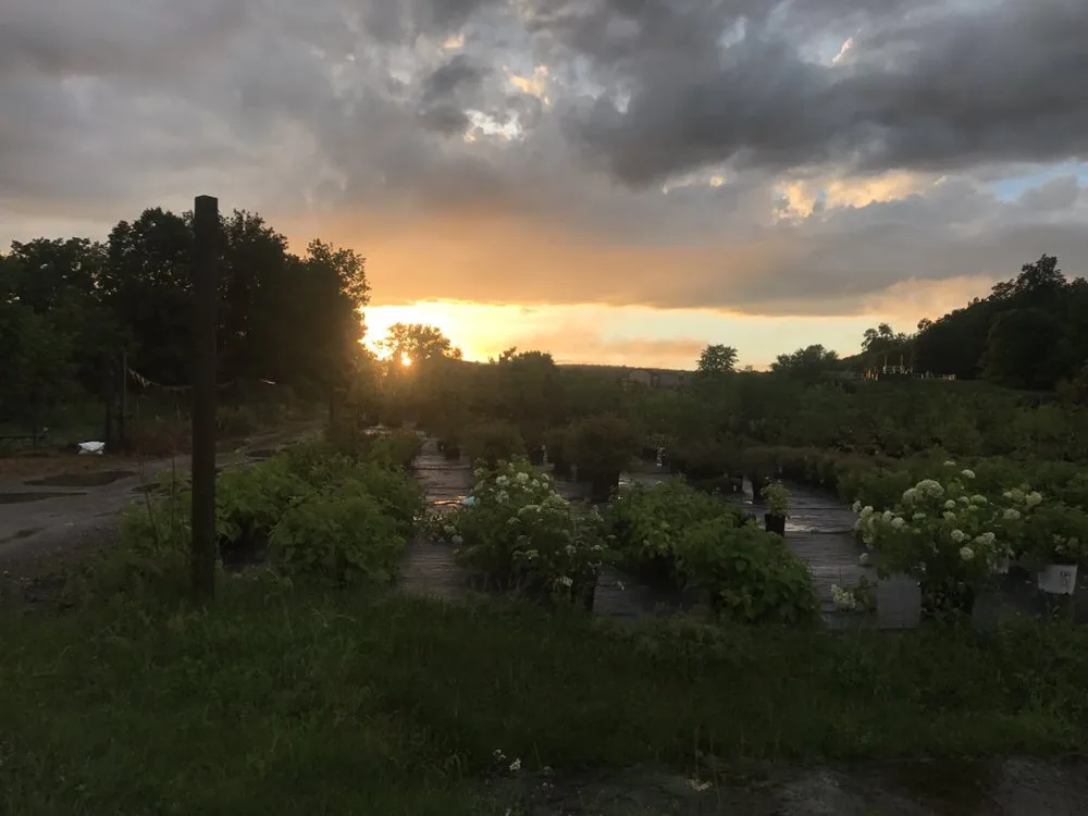 Expert landscape installation in North Bennington, VT - Pembroke Landscaping