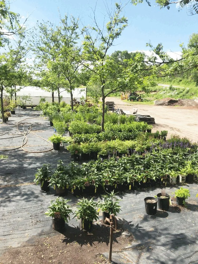 Local landscaping services in North Bennington, VT by Pembroke Landscaping