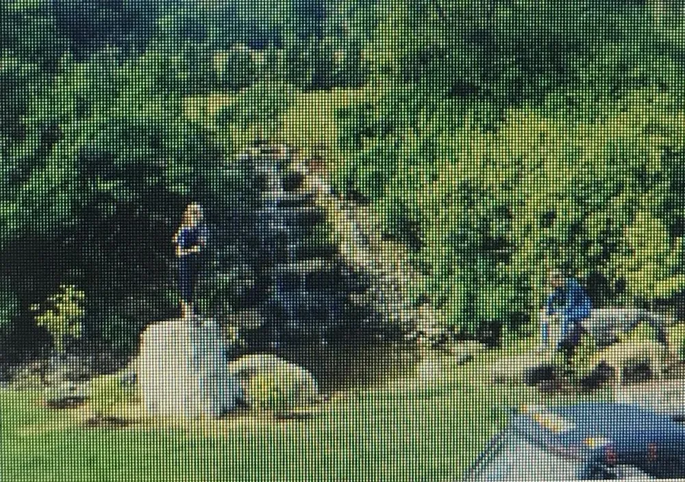 Affordable yard maintenance experts serving North Bennington, VT - Pembroke Landscaping