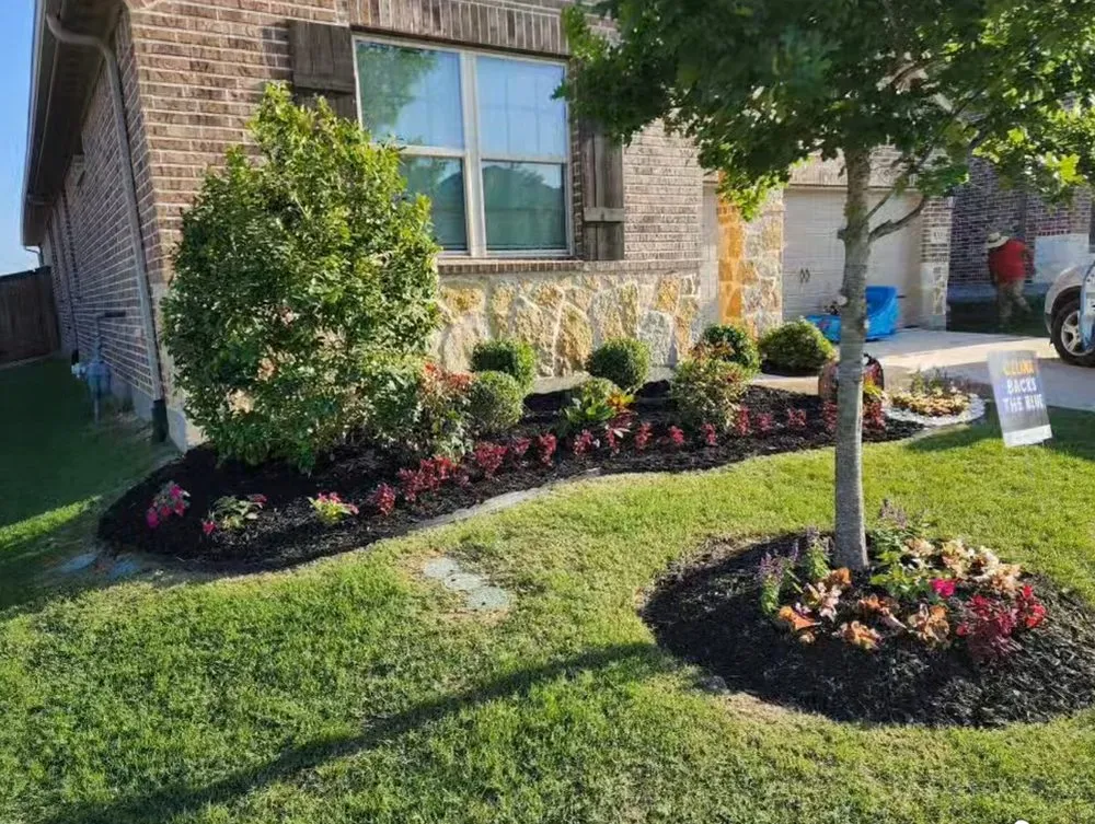 Local lawn mowing service in Sherman, TX by Pemeza