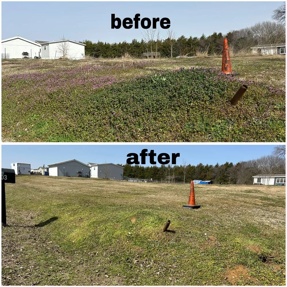 Reliable landscape design experts serving Sherman, TX - Pemeza