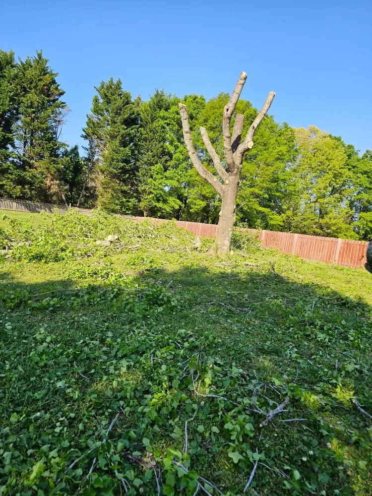 Local landscape installation near you across Chesnee, SC - Pena Landscape