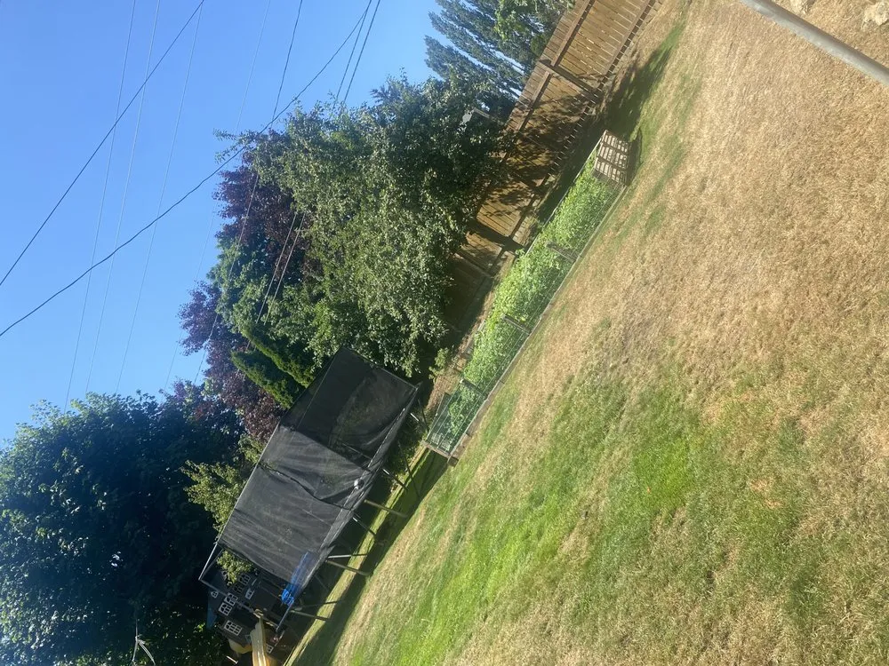 Custom residential landscaping in Federal Way, WA by Pena Landscaping and Cleaning