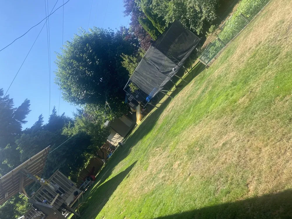 Affordable yard cleanup service in Federal Way, WA by Pena Landscaping and Cleaning