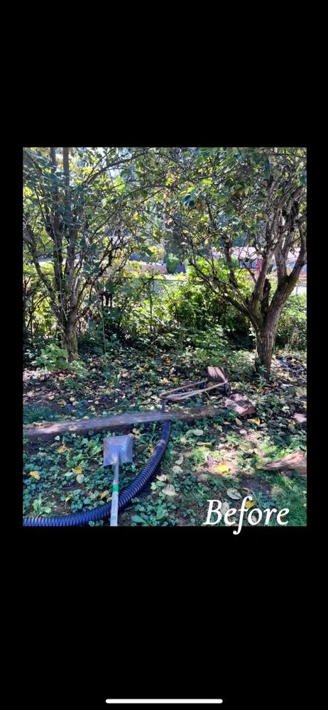 Top-rated landscape installation for outdoor upgrades in Federal Way, WA by Pena Landscaping and Cleaning