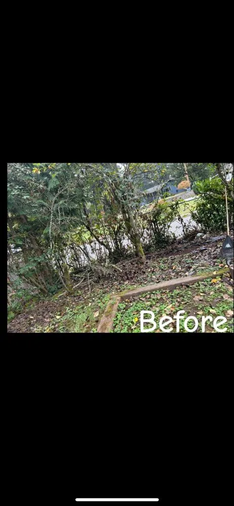 Custom lawn care service in Federal Way, WA by Pena Landscaping and Cleaning