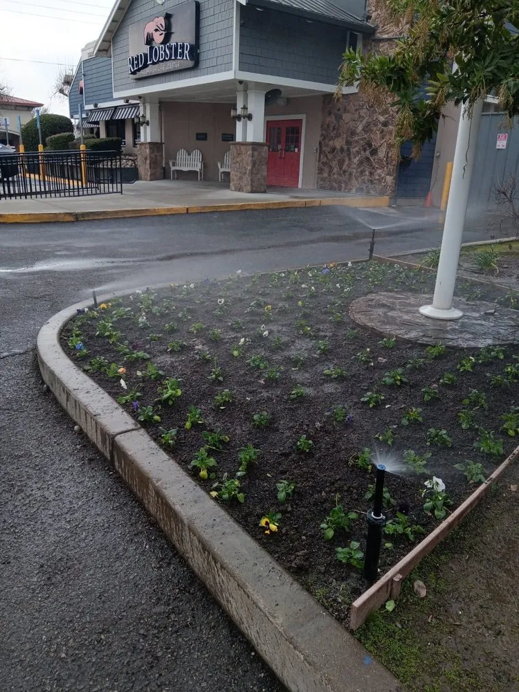 Custom lawn care service for outdoor upgrades in Modesto, CA by Pena Landscaping