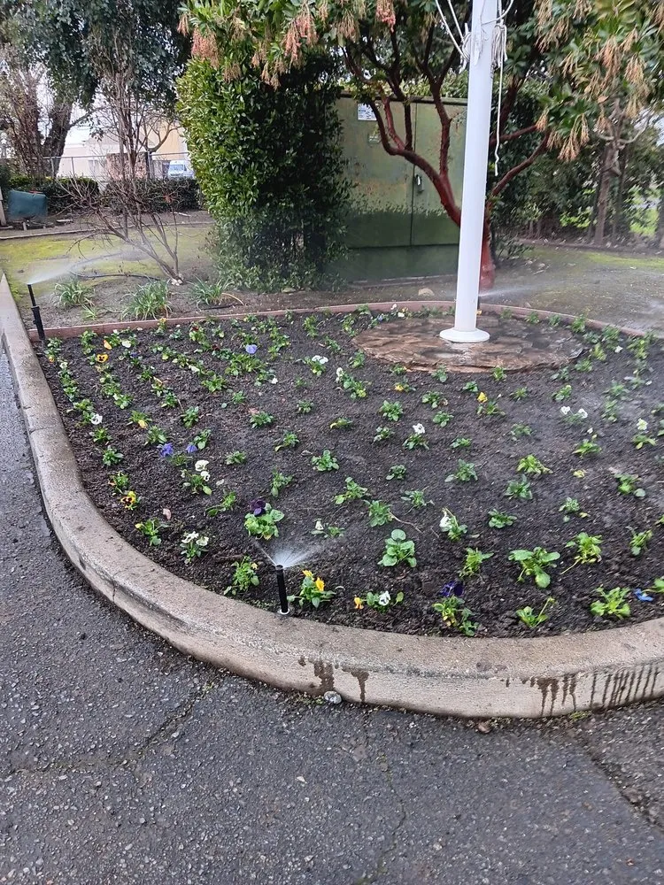 Local residential landscaping experts serving Modesto, CA - Pena Landscaping