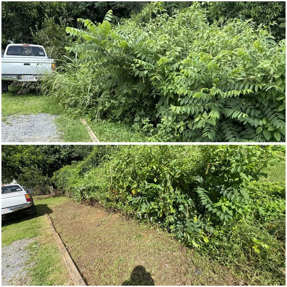 Expert garden landscaping with custom design in Roanoke, VA by Pena Landscaping