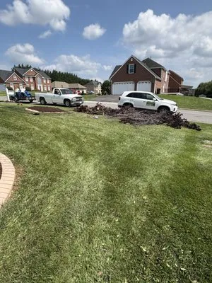 Pena Landscaping Logo