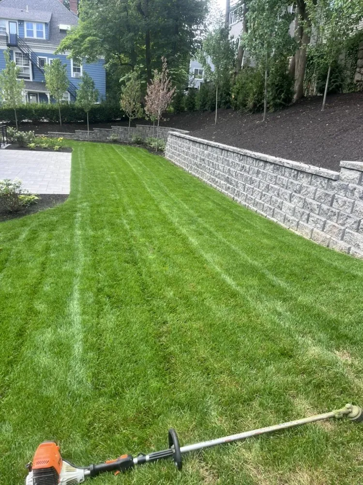 Affordable yard cleanup service for homes in Leominster, MA by Pena lanscaping