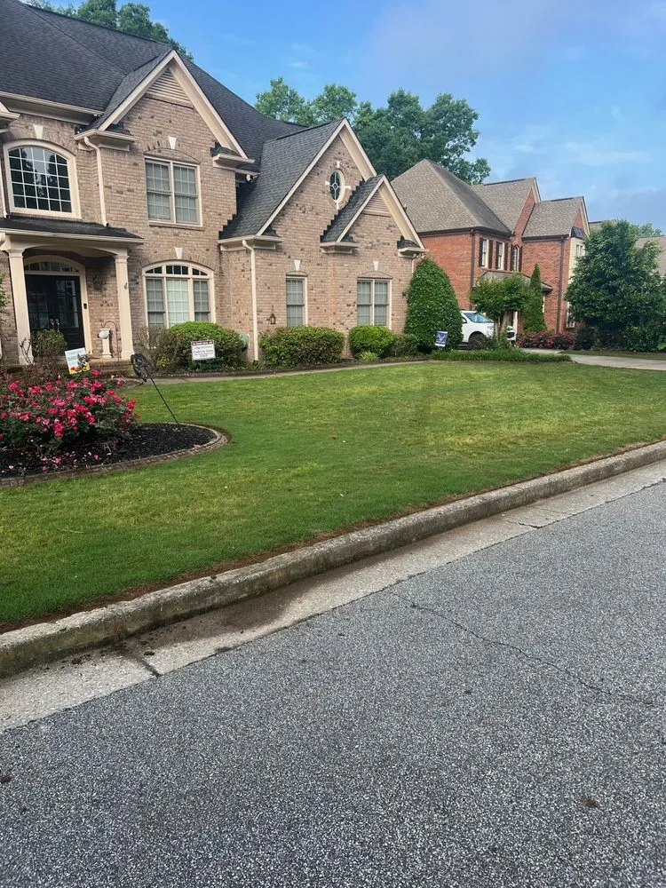 Professional yard cleanup service in Dallas, GA - Pena Lawn Services