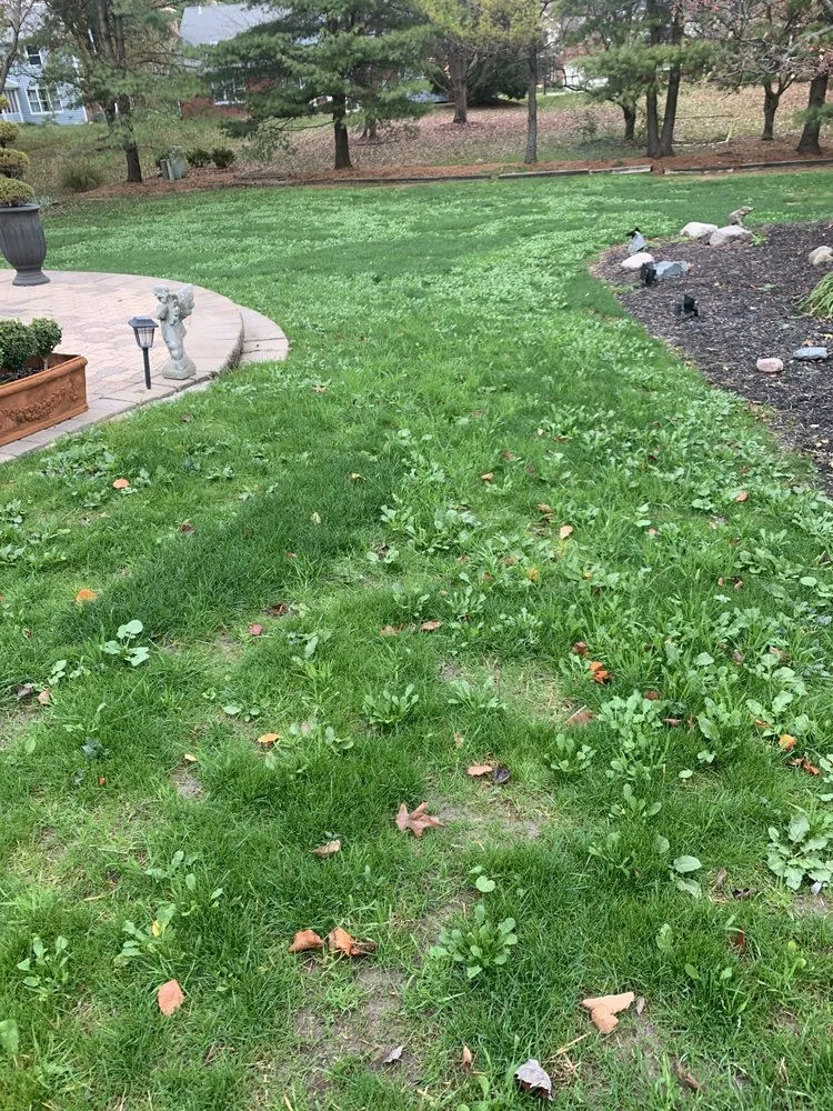 Trusted landscape design experts serving Dallas, GA - Pena Lawn Services