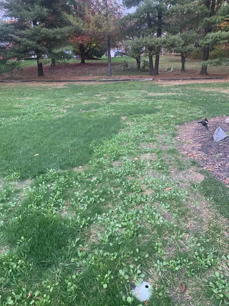 Top-rated yard maintenance for outdoor upgrades in Dallas, GA by Pena Lawn Services