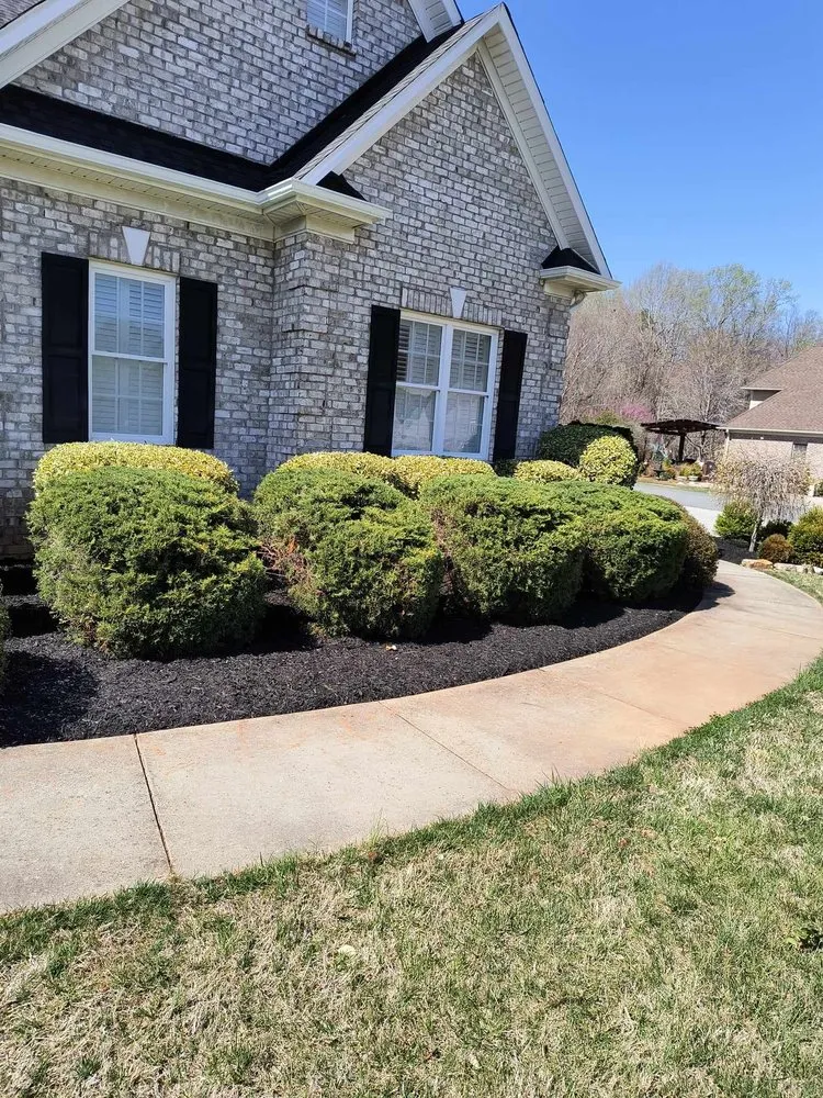 Trusted lawn care service near you in Winston-Salem, NC by Pena Lawncare