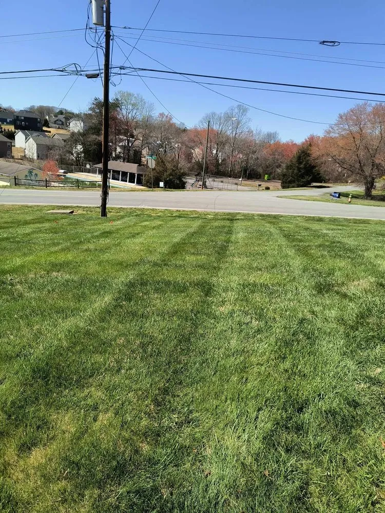 Reliable lawn care service in Winston-Salem, NC - Pena Lawncare