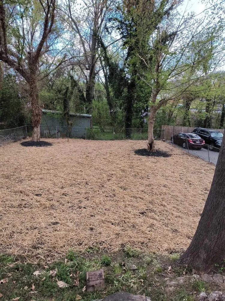Local garden landscaping in Winston-Salem, NC by Pena Lawncare