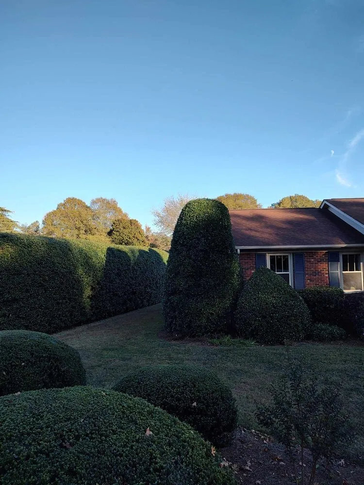 Professional yard maintenance for beautiful yards across Winston-Salem, NC - Pena Lawncare