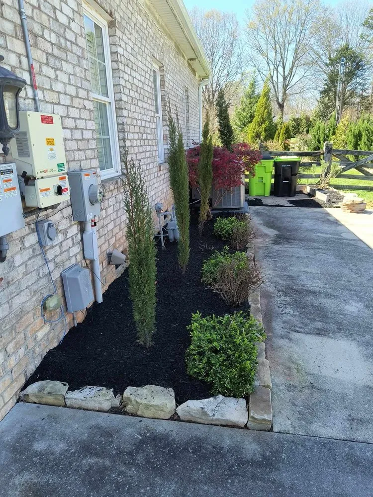 Expert yard cleanup service in Winston-Salem, NC by Pena Lawncare