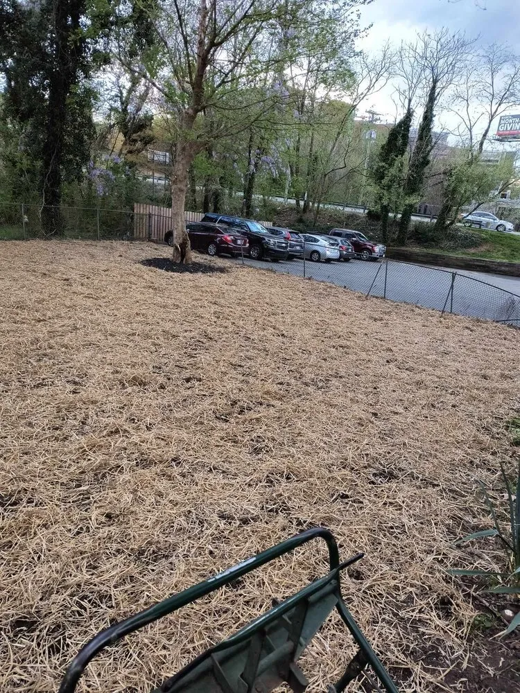 Custom residential landscaping for beautiful yards in Winston-Salem, NC by Pena Lawncare