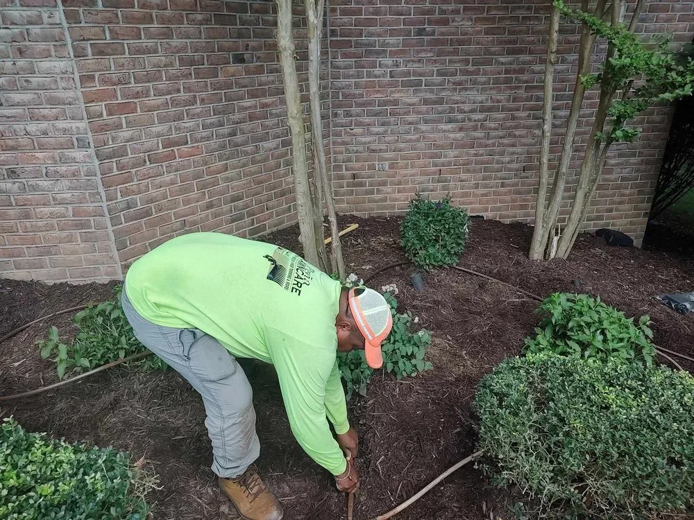 Expert landscaping services for residential properties in Winston-Salem, NC by Pena Lawncare