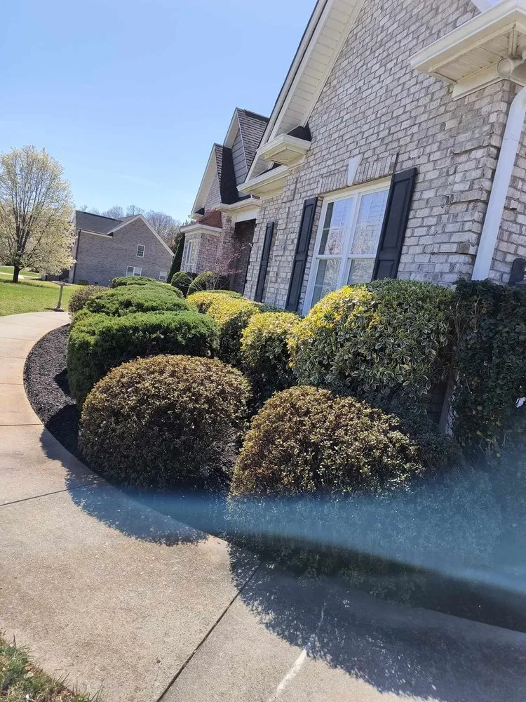 Affordable lawn mowing service in Winston-Salem, NC - Pena Lawncare