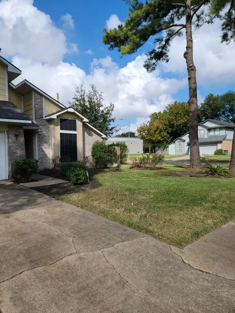 Professional lawn care service in Houston, TX by Penaloza Lawn Care Services