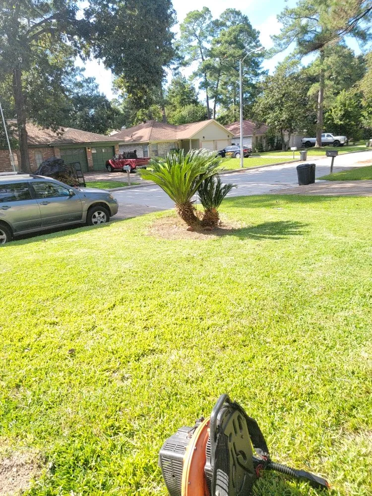 Custom landscape installation for outdoor upgrades in Houston, TX by Penaloza Lawn Care Services