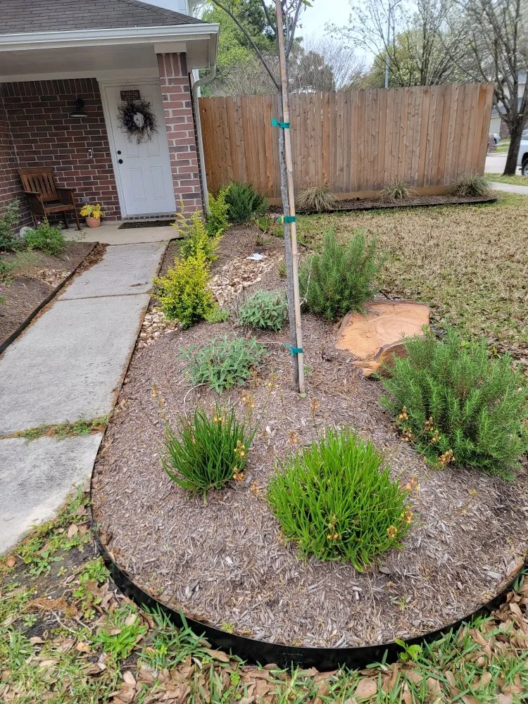 Affordable residential landscaping experts serving Houston, TX - Penaloza Lawn Care Services