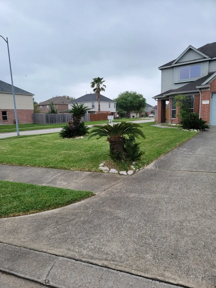 Top-rated lawn mowing service in Houston, TX by Penaloza Lawn Care Services