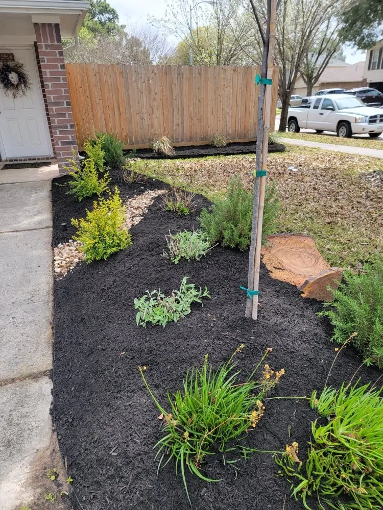 Expert landscaping services with custom design across Houston, TX - Penaloza Lawn Care Services