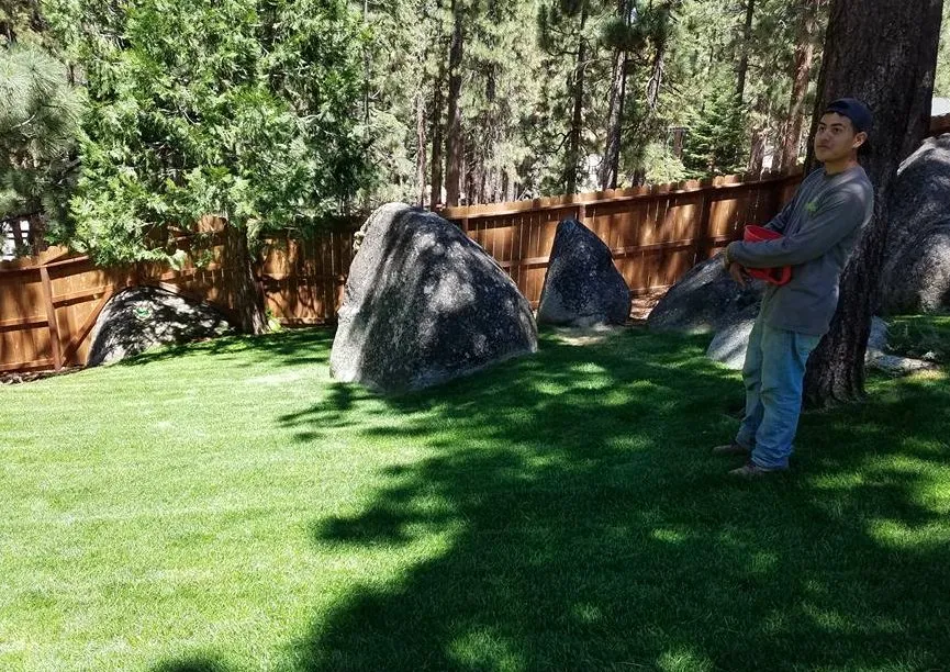 Reliable landscape design for year-round maintenance in South Lake Tahoe, CA by Pena's Landscape Maintenance