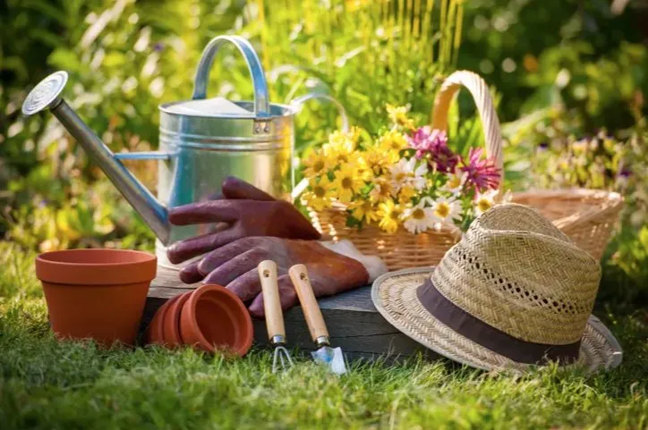 Custom lawn care service in South Lake Tahoe, CA - Pena's Landscape Maintenance