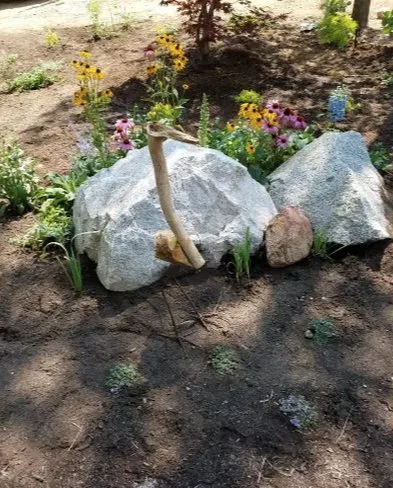 Top-rated garden landscaping in South Lake Tahoe, CA - Pena's Landscape Maintenance