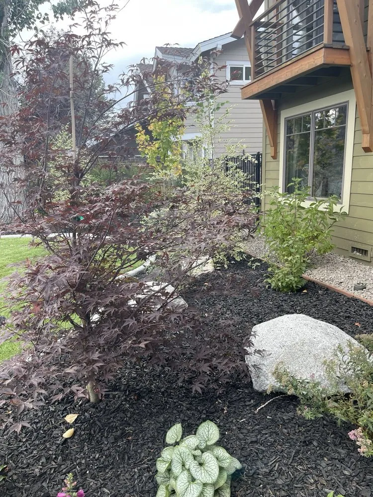 Expert residential landscaping in South Lake Tahoe, CA by Pena's Landscape Maintenance