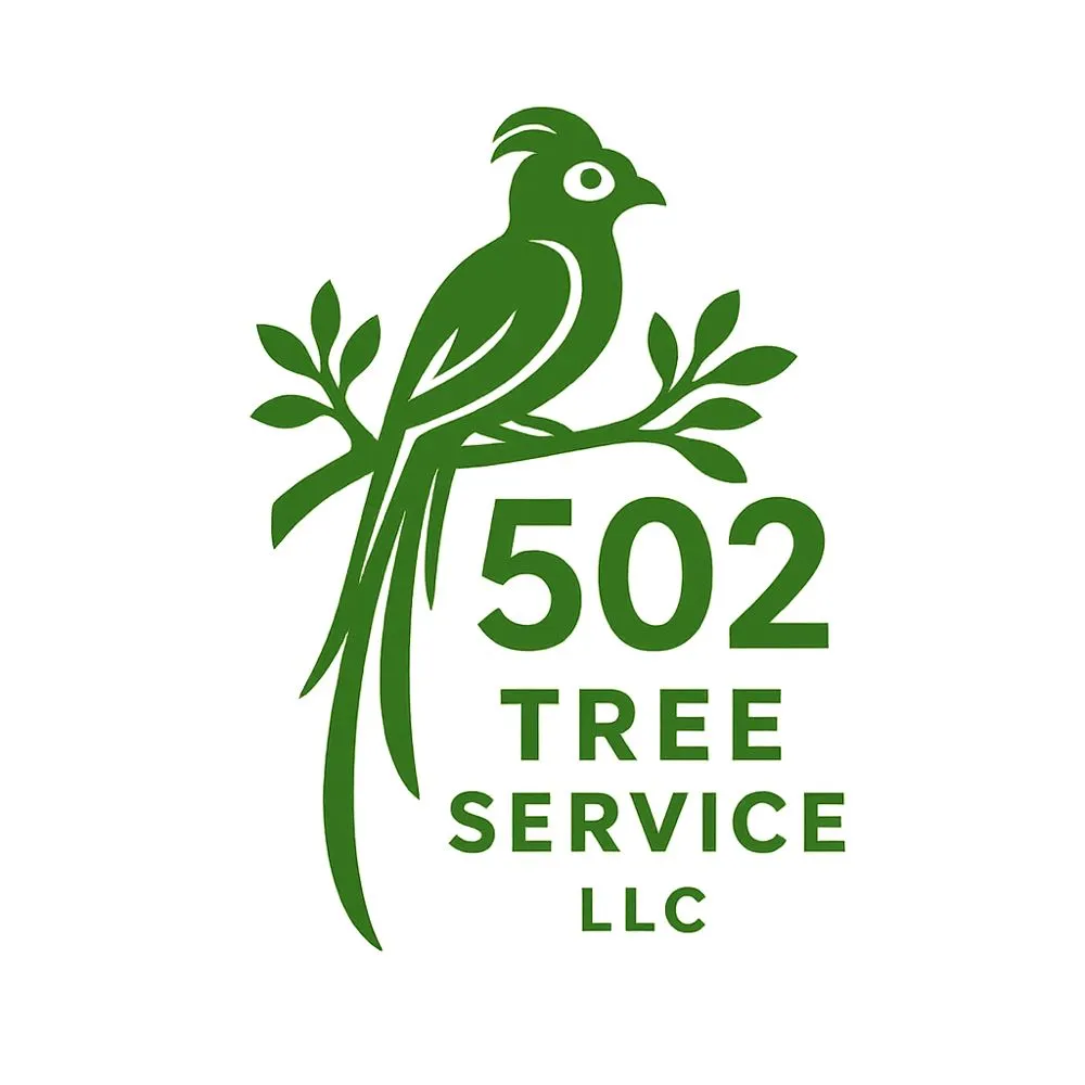 Affordable yard maintenance in Gilroy, CA by Pena’s landscaping and tree service