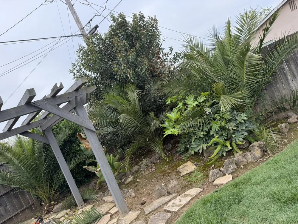 Top-rated landscape installation in Gilroy, CA by Pena’s landscaping and tree service