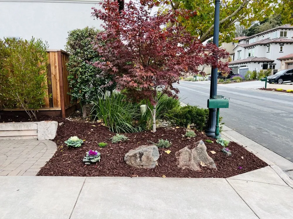 Top-rated yard maintenance experts serving Gilroy, CA - Pena’s landscaping and tree service
