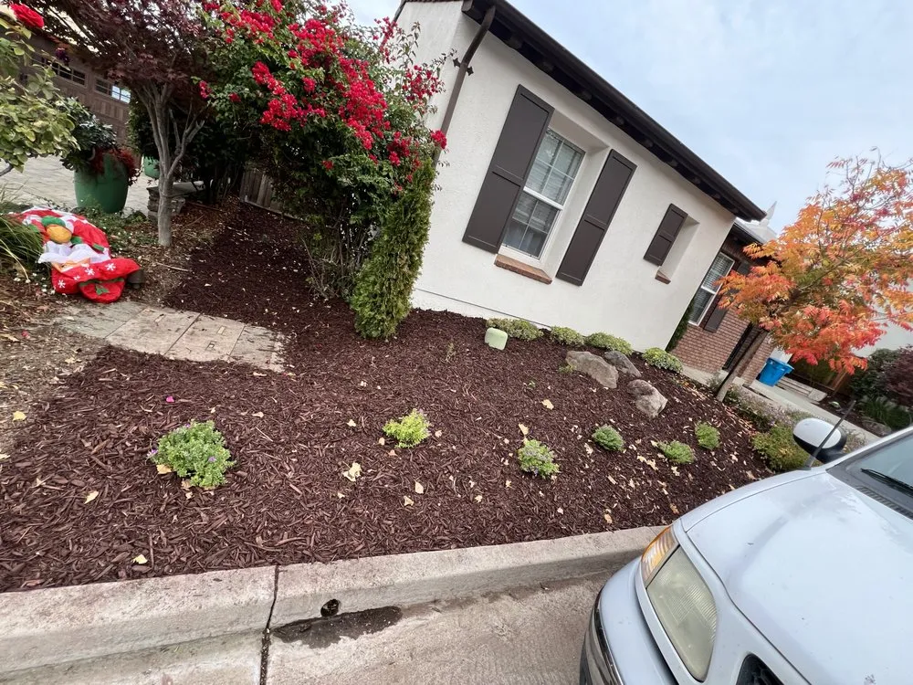 Affordable landscape design in Gilroy, CA by Pena’s landscaping and tree service