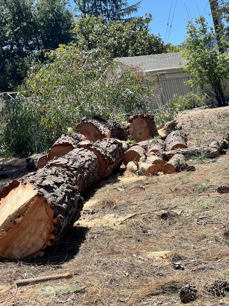 Expert garden landscaping for residential properties across Gilroy, CA - Pena’s landscaping and tree service