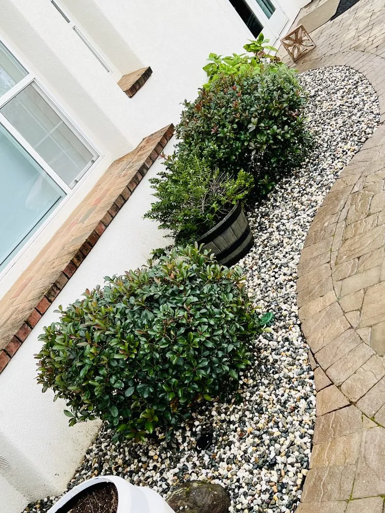 Custom landscape design for beautiful yards across Gilroy, CA - Pena’s landscaping and tree service