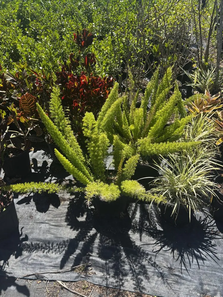 Trusted landscaping services experts serving West Melbourne, FL - Pena's Lawn & Landscaping