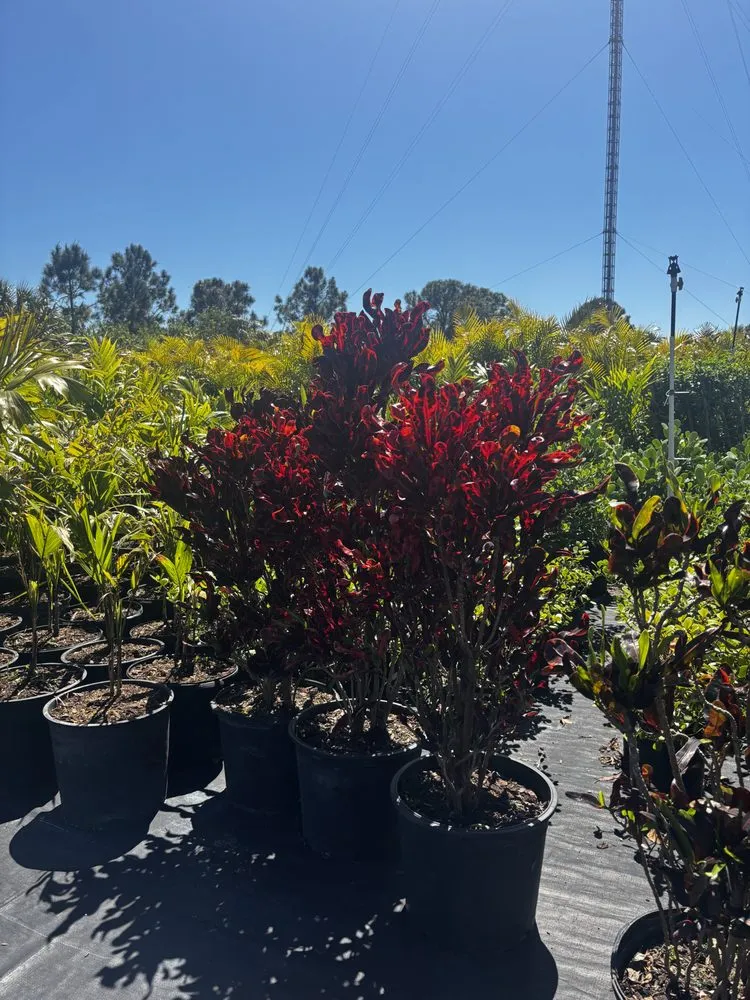 Reliable landscaping services with custom design in West Melbourne, FL by Pena's Lawn & Landscaping