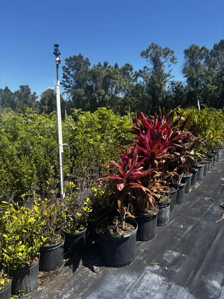 Top-rated outdoor landscaping with custom design across West Melbourne, FL - Pena's Lawn & Landscaping