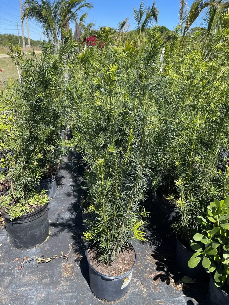 Reliable landscape design experts serving West Melbourne, FL - Pena's Lawn & Landscaping