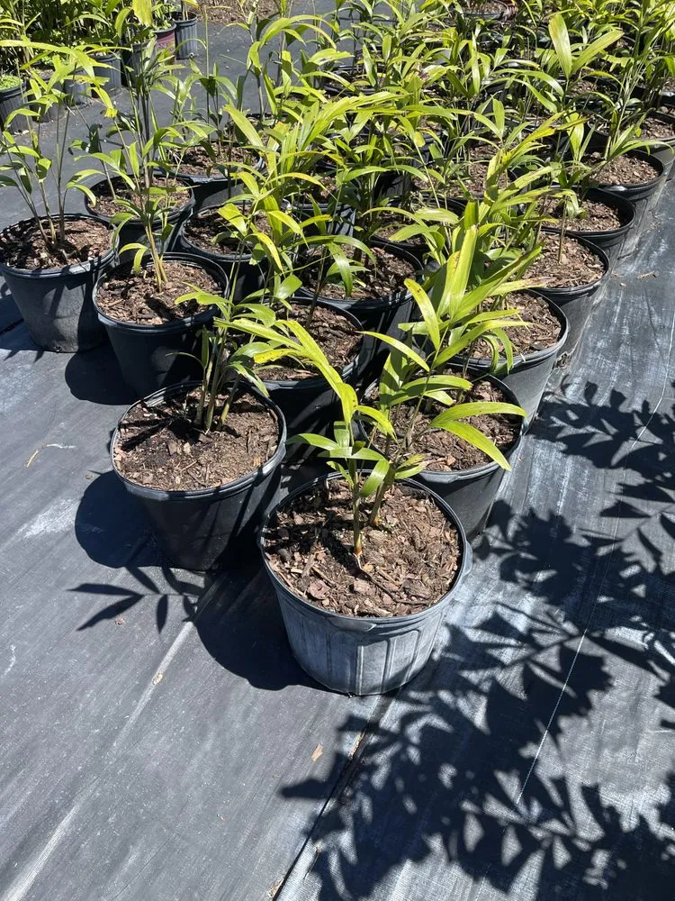 Top-rated residential landscaping in West Melbourne, FL - Pena's Lawn & Landscaping