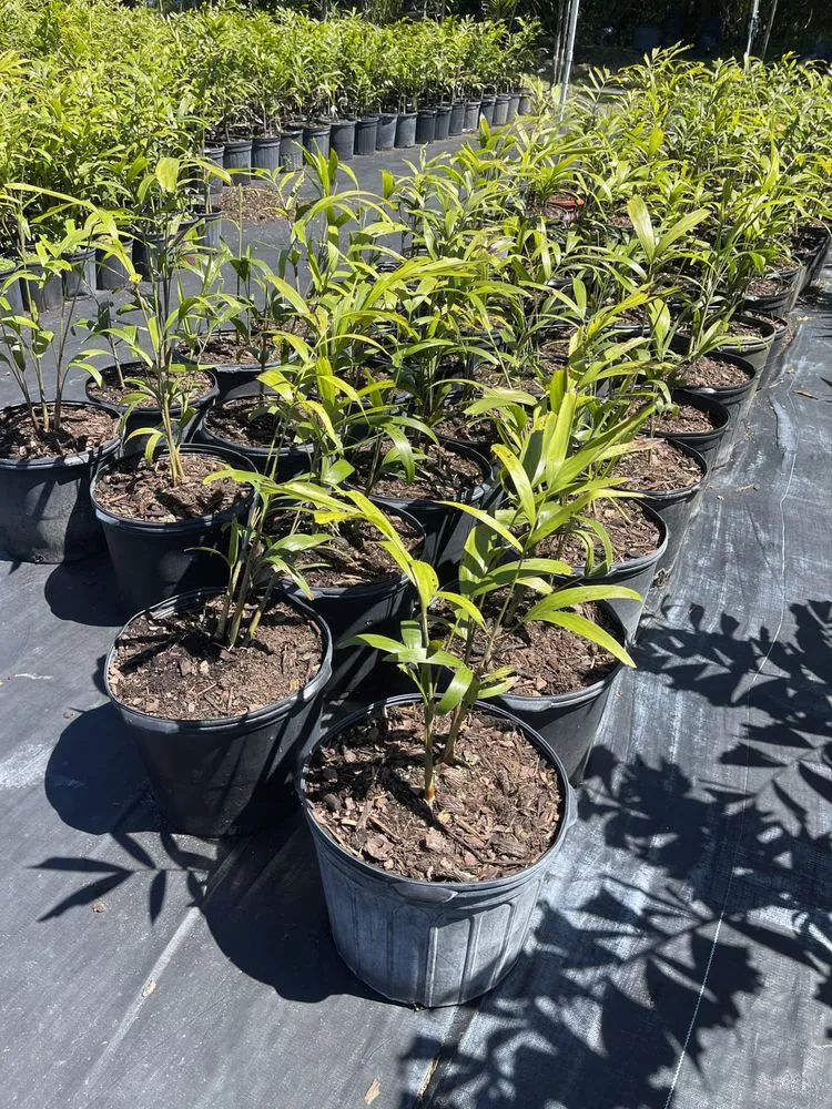 Top-rated landscape design in West Melbourne, FL - Pena's Lawn & Landscaping