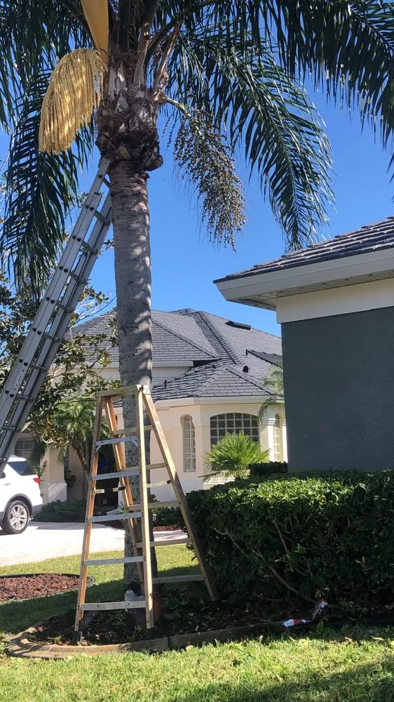 Professional lawn care service in Melbourne, FL - Pena's Lawns Services