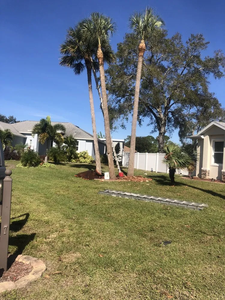 Trusted landscaping services experts serving Melbourne, FL - Pena's Lawns Services