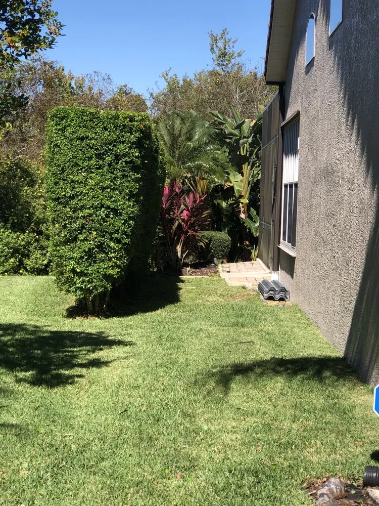 Top-rated landscape installation in Melbourne, FL by Pena's Lawns Services
